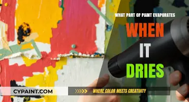 What Evaporates from Paint as It Dries: Unveiling the Chemistry