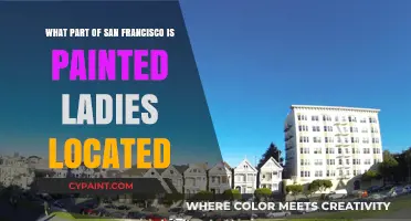 Explore the Painted Ladies in San Francisco's Alamo Square