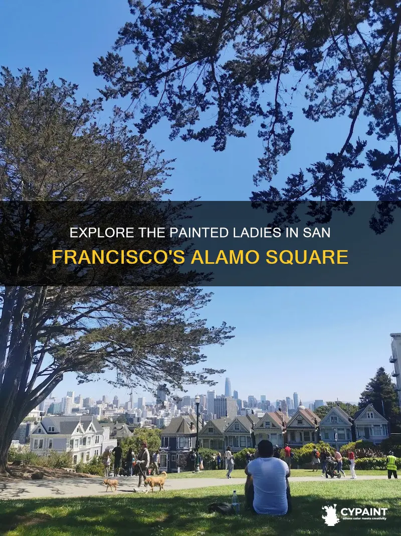 what part of san francisco is painted ladies located