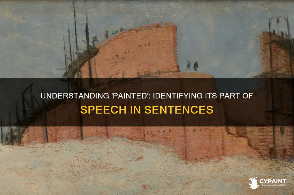 what part of speech is the word painted