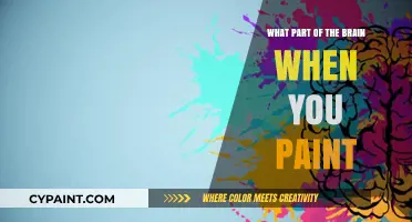 Unleashing Creativity: Exploring the Brain Regions Activated During Painting