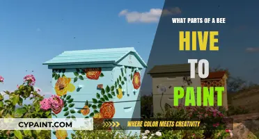 Painting Your Bee Hive: Essential Parts and Best Practices