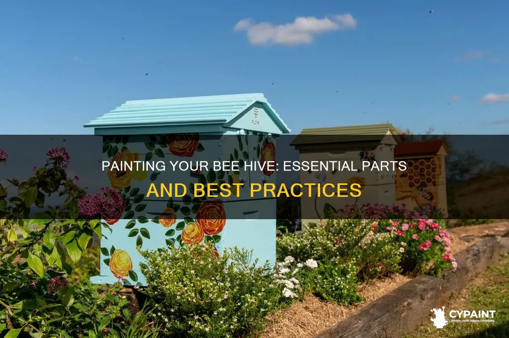 what parts of a bee hive to paint