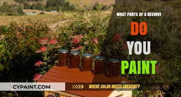 Painting a Beehive: Essential Parts to Color for Protection and Identification