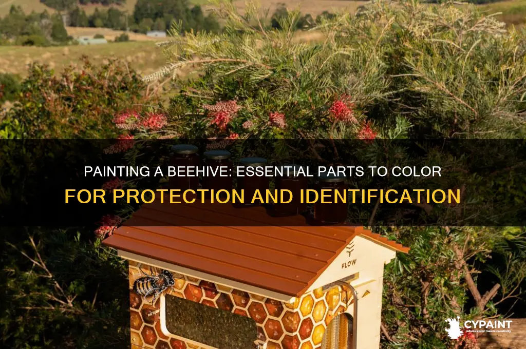 what parts of a beehive do you paint