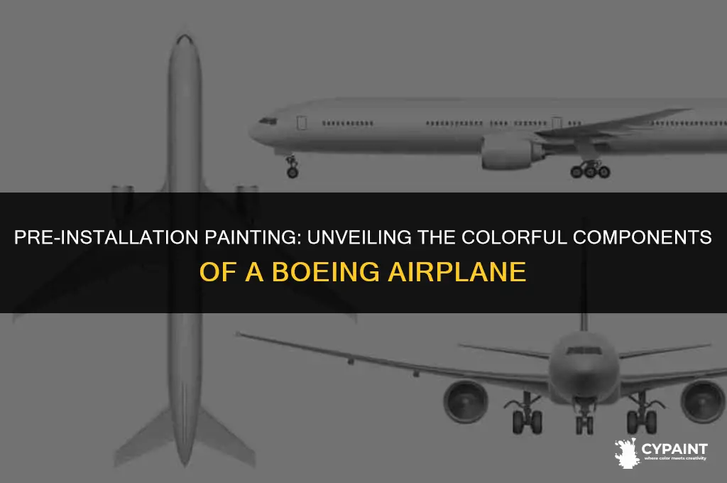 what parts of a boeing airplane are painted before installation