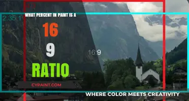 Understanding Paint Ratios: 16:9 Explained
