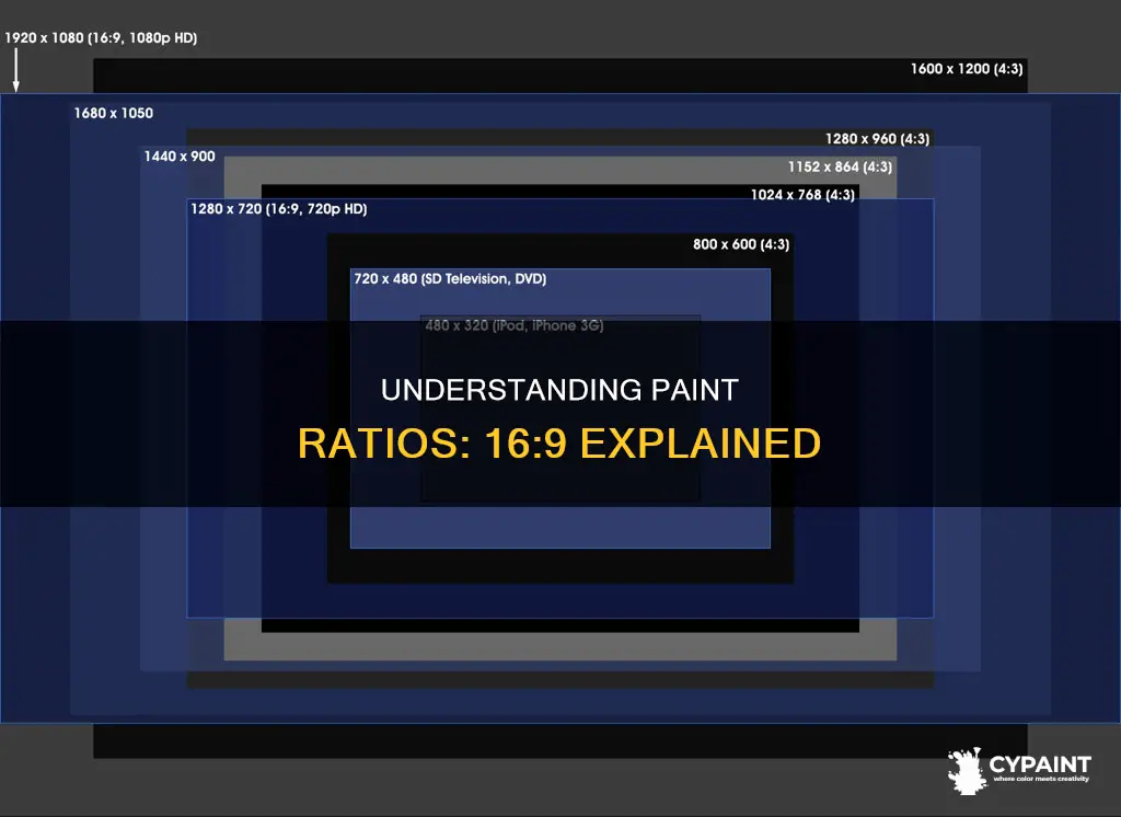 what percent in paint is a 16 9 ratio