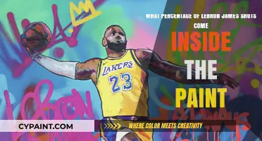Paint Presence: Analyzing LeBron James' Scoring Territory