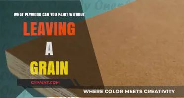 Choosing Grain-Free Plywood for Painting