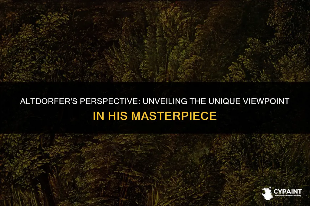 what point of view does altdorfer adopt for this painting