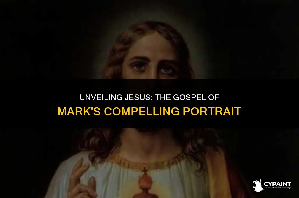 what portrait of jesus does the gospel of mark paint