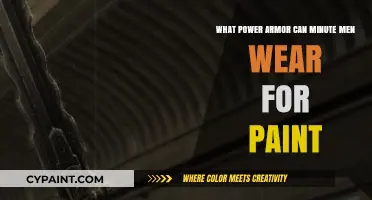 Minutemen's Power Armor Paint Job: A Guide