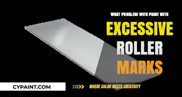 Excessive Roller Marks: Common Painting Problem and How to Fix It
