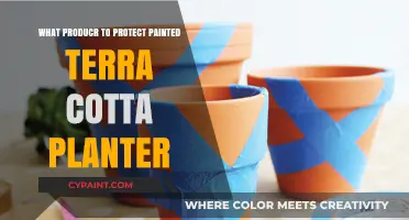 Best Products to Safeguard Your Painted Terra Cotta Planters