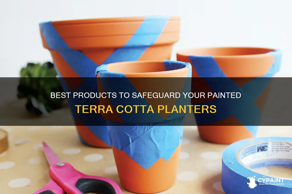 what producr to protect painted terra cotta planter