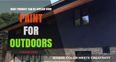 Outdoor Paint Protection: What to Apply Over Paint?
