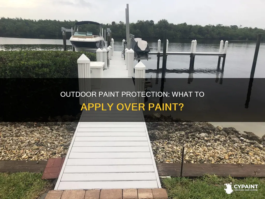 what product can be applied over paint for outdoors