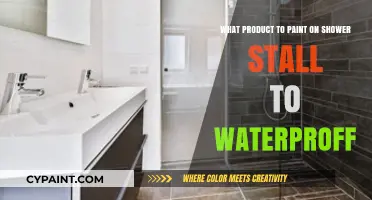 Shower Stall Painting: Best Products for Waterproofing