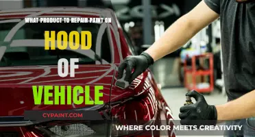 Best Products to Fix Car Paint Scratches