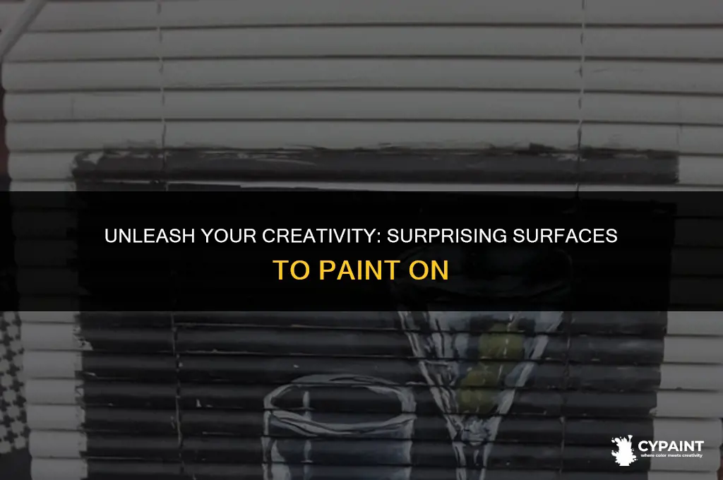 what products can you put your paint on