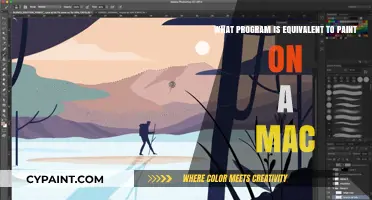 Best MS Paint Alternatives for Mac Users