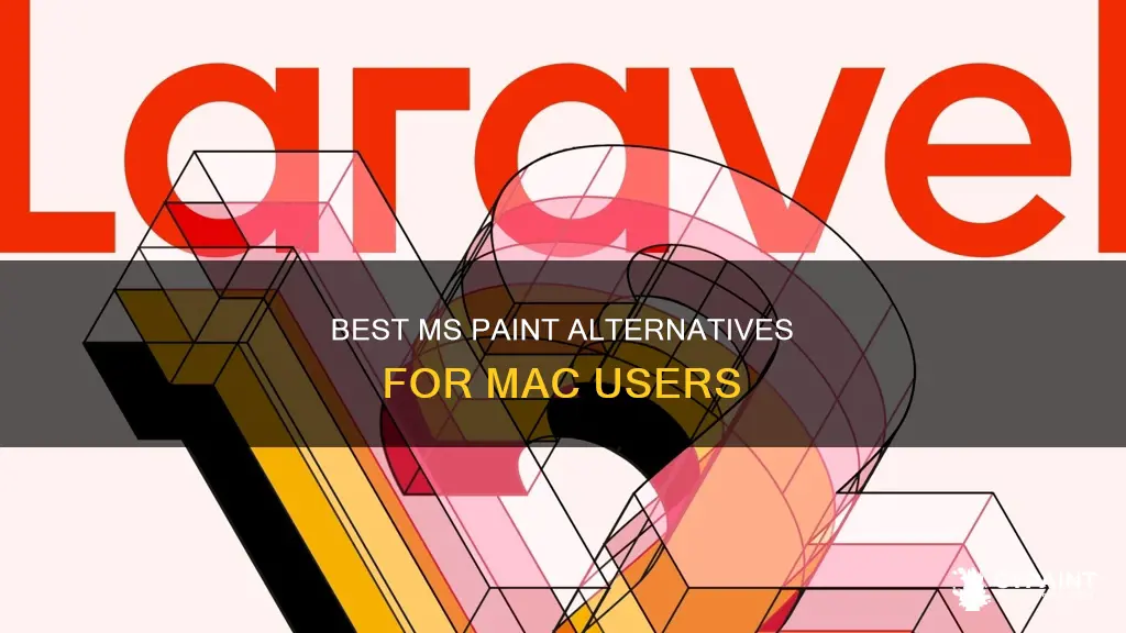 what program is equivalent to paint on a mac
