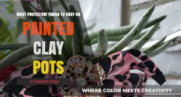 Protecting Your Painted Clay Pots: Best Spray Finishes