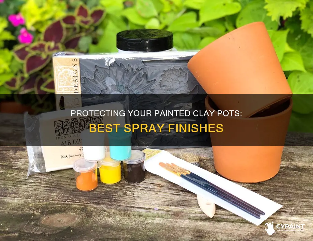 what protective finish to sray on painted clay pots