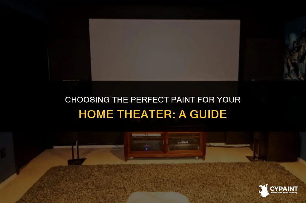 what quality of paint to go with for home theater