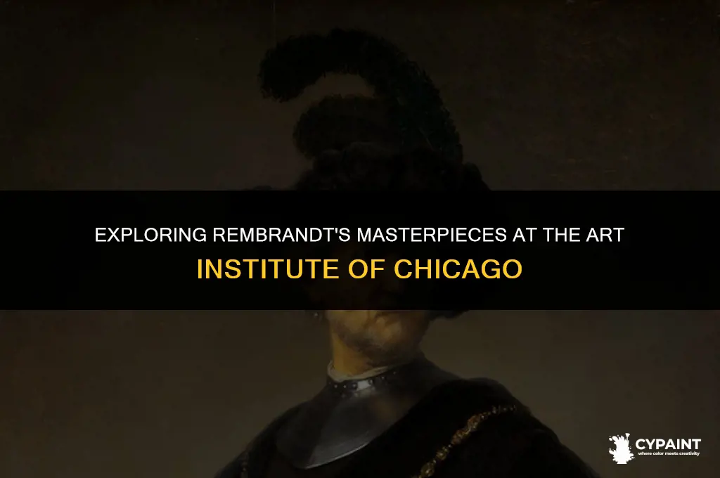 what rembrandt paintings are at the art institute of chicago