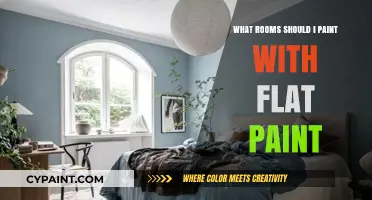 Best Rooms for Flat Paint: A Guide to Matte Finishes