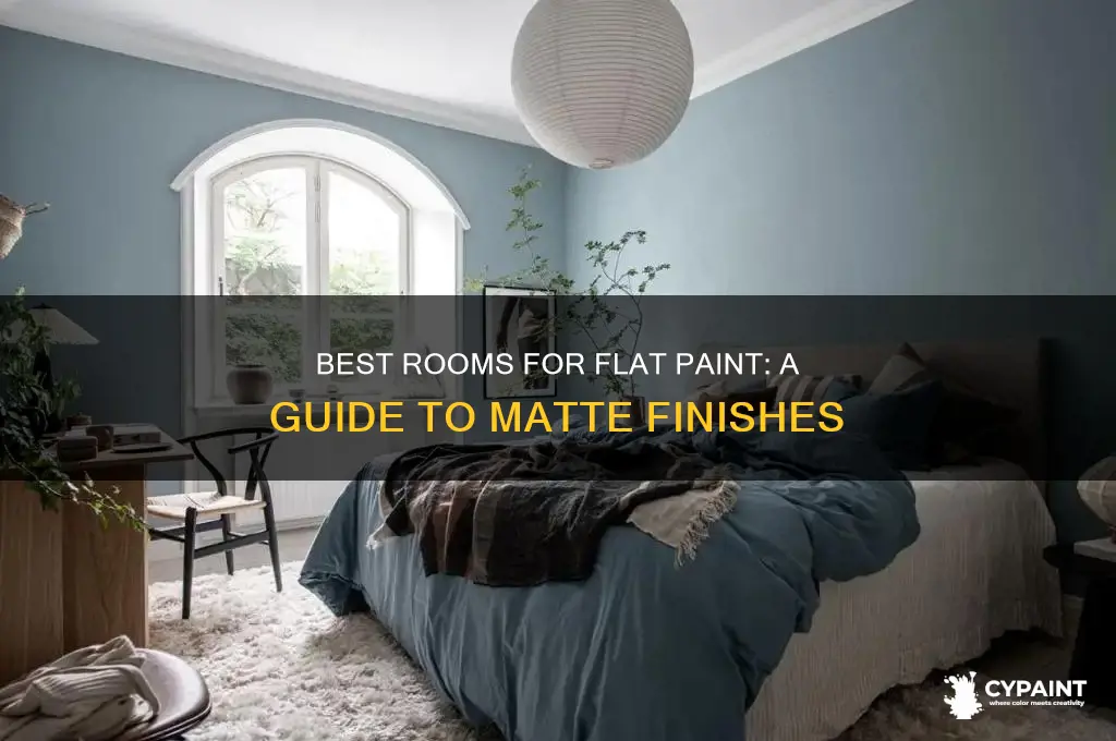 what rooms should i paint with flat paint