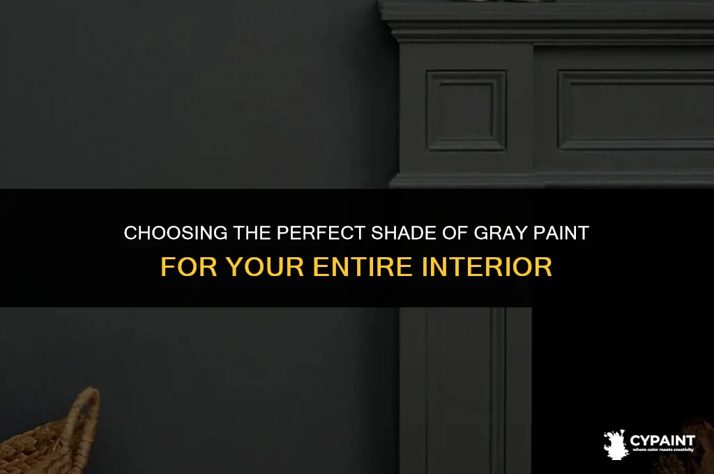 what sahde of gray paint to choose for entire interior