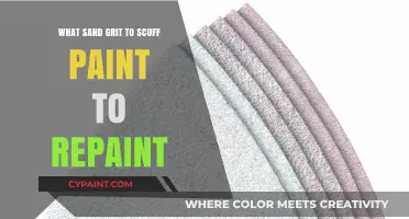 Choosing the Right Sand Grit for Scuffing Paint Before Repainting