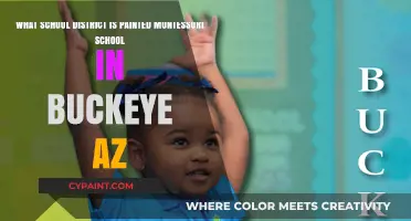 Exploring Montessori Education in Buckeye, AZ: A District Overview