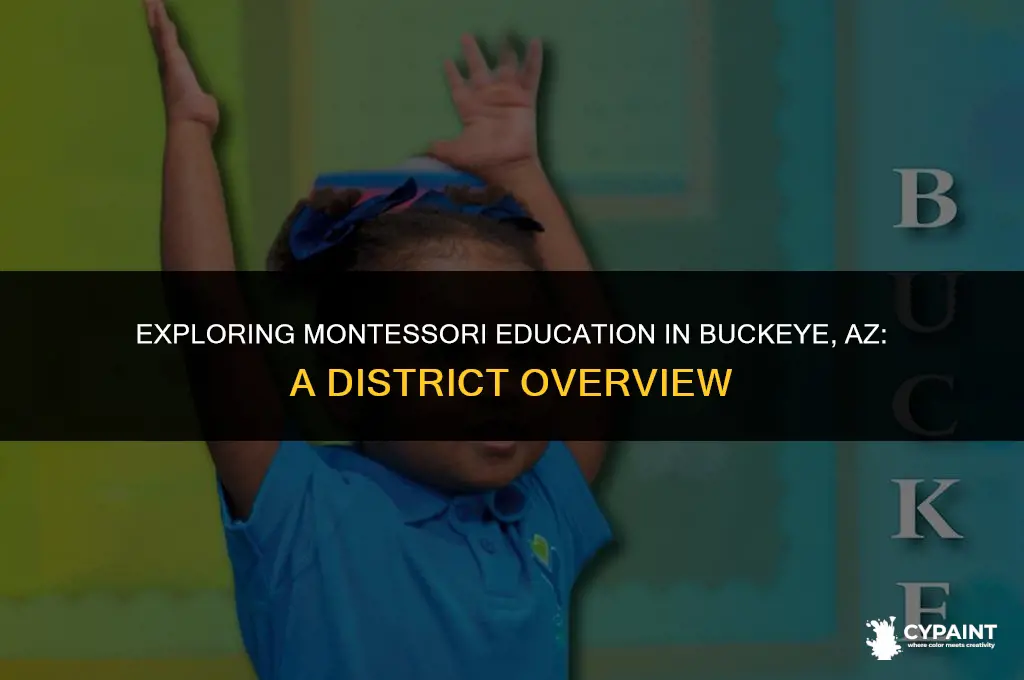 what school district is painted montessori school in buckeye az