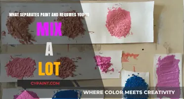 Unveiling the Mystery: What Separates Paint and Demands Mixing Mastery?