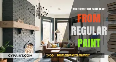 Trim Paint vs. Regular Paint: Key Differences and Best Uses