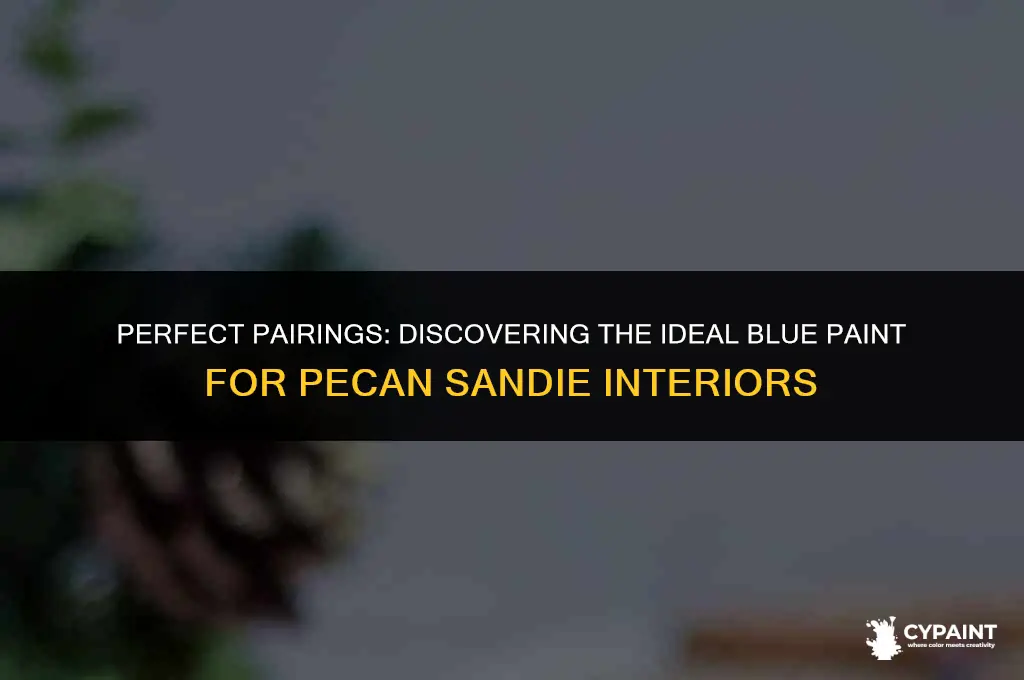 what shade of blue paint would go with pecan sandie