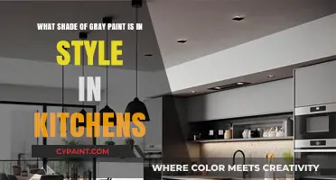 Trendy Kitchen Gray: The Perfect Shade for Modern Spaces