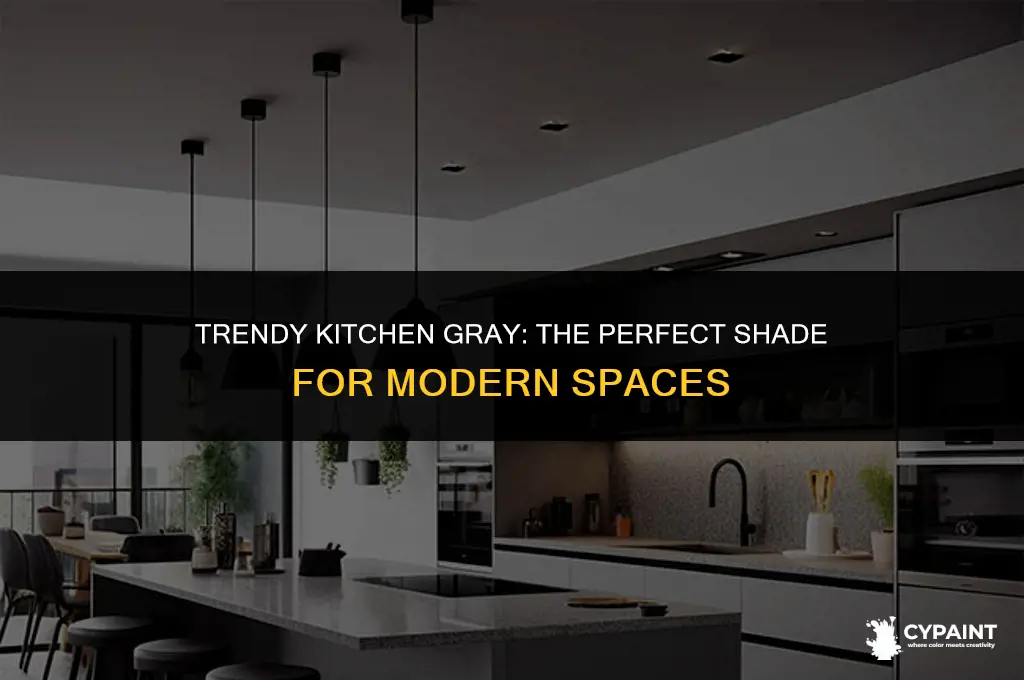what shade of gray paint is in style in kitchens