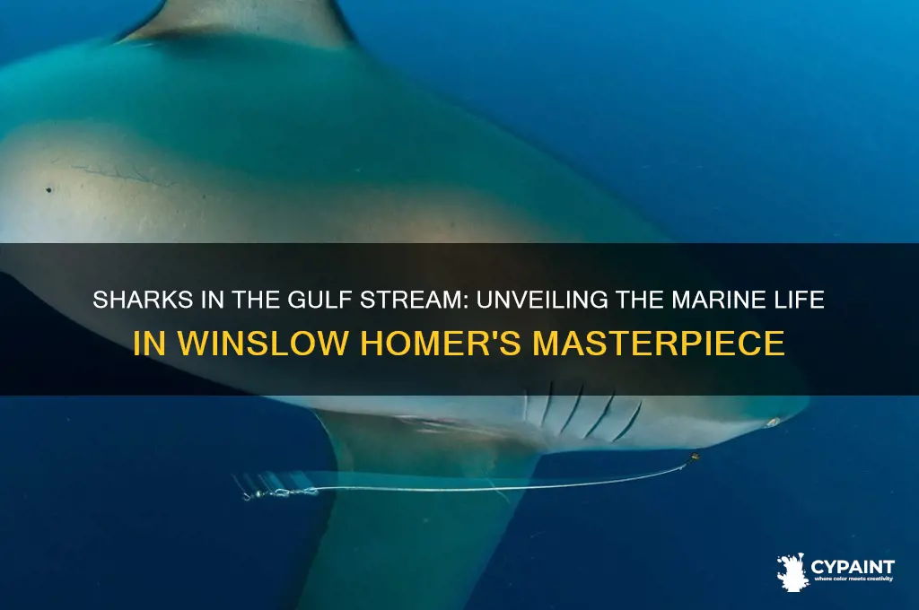 what sharks are in the gulf stream painting