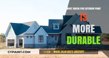 Best Sheen for Exterior Paint: Durability and Longevity Explained