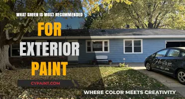 Best Sheen for Exterior Paint: Expert Recommendations for Durability and Appeal