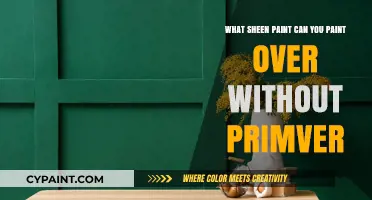 Sheen Paint: What Can You Paint Over?