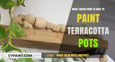 Terracotta Pot Sheen: Choosing the Right Paint Finish