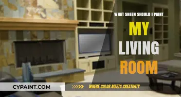 Choosing the Perfect Sheen for Your Living Room Paint