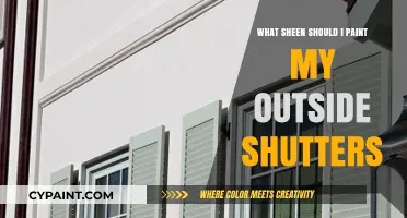 Choosing the Perfect Sheen for Your Exterior Shutters: A Guide