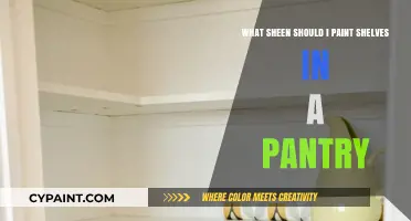 Choosing the Right Sheen for Pantry Shelves